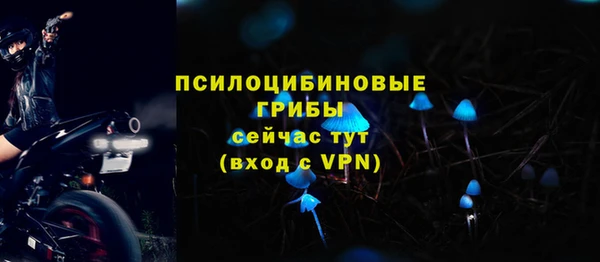сатива Балахна