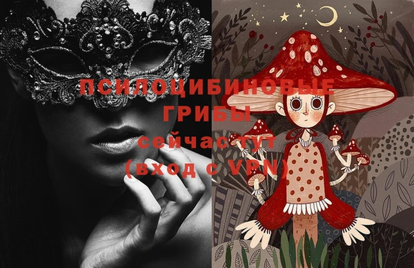 сатива Балахна
