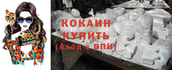 сатива Балахна