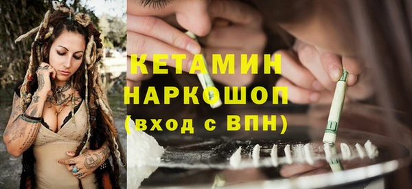 сатива Балахна