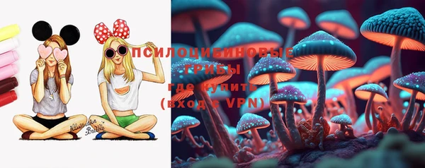 сатива Балахна