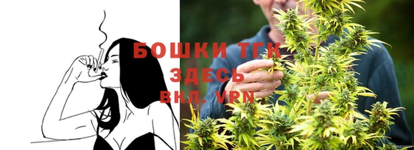 сатива Балахна