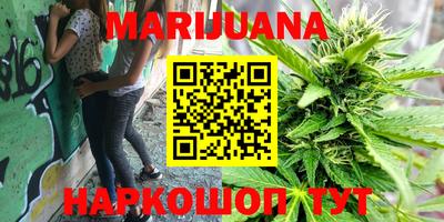 индика Ставрополь