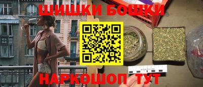индика Ставрополь