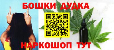 индика Ставрополь