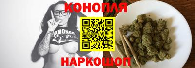 индика Ставрополь