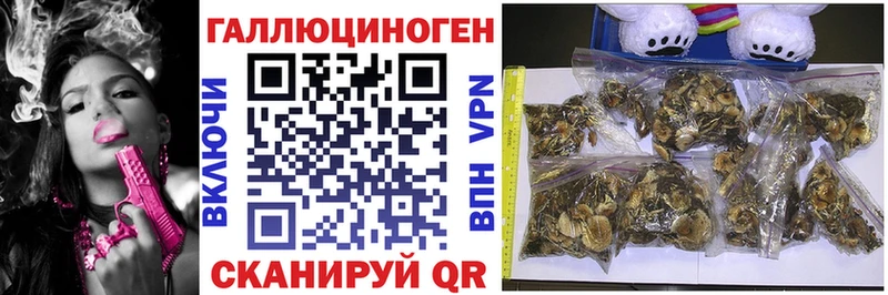 Псилоцибиновые грибы мухоморы  продажа наркотиков  Барабинск 