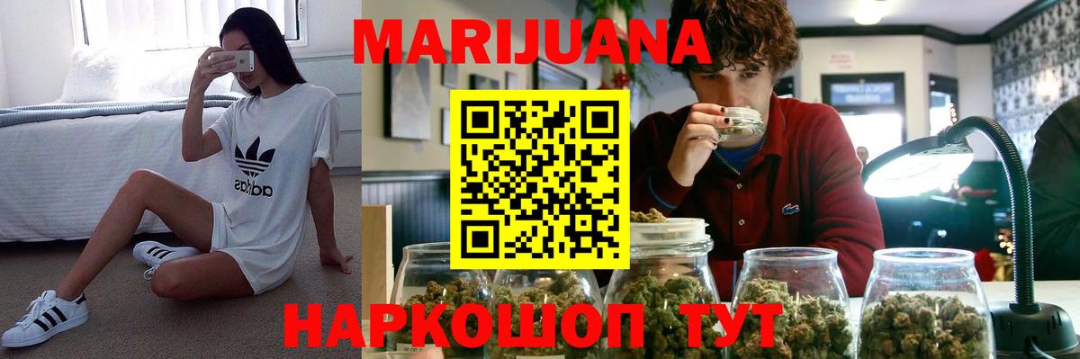 Конопля гибрид Барабинск